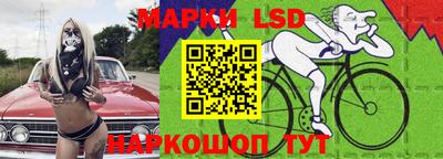 прущие грибы Усть-Илимск