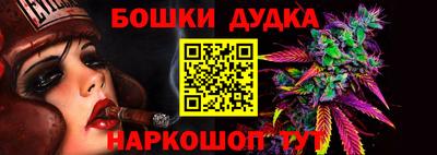 прущие грибы Усть-Илимск