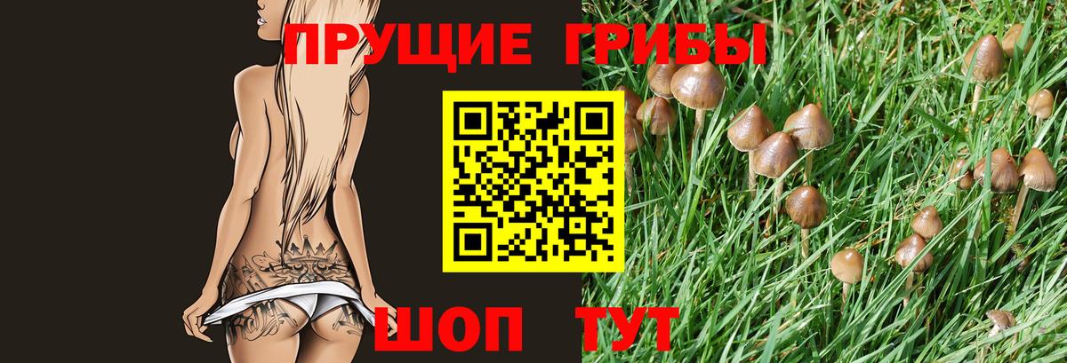Галлюциногенные грибы Magic Shrooms Благодарный
